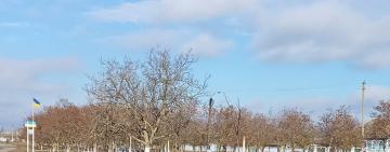 В селі Кілійської громади за благодійні кошти з-за кордону висадили більше 80-ти дерев горіха