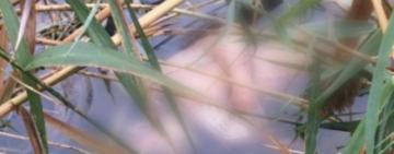 На Одещині в каналі знайдено тіло 43-річного чоловіка