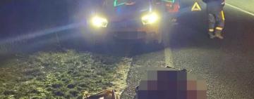 Смертельна ДТП на трасі «Одеса-Рені»: мешканець Арцизької ТГ був за кермом «КАМАЗу» 