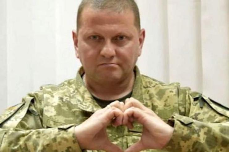 На сайті президента з’явилась петиція про присвоєння звання Героя України Валерію Залужному