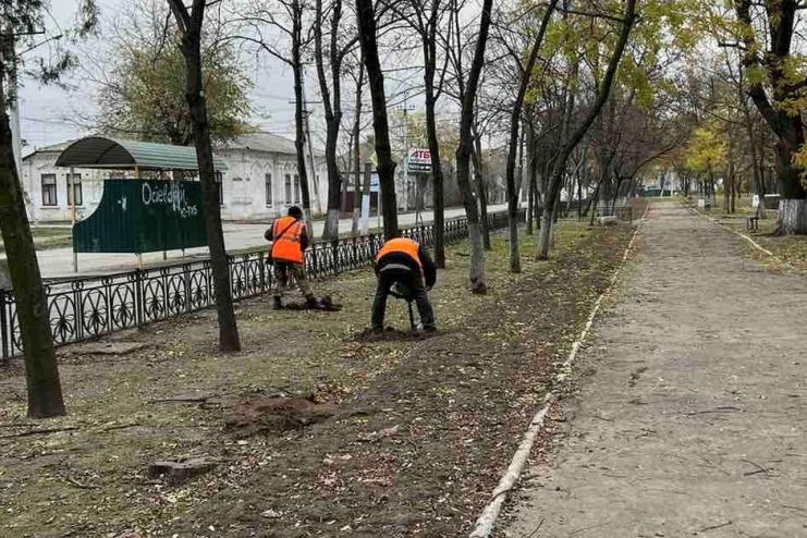 В Кілії комунальники висадили вже більше шістдесяти дерев в центральному парку