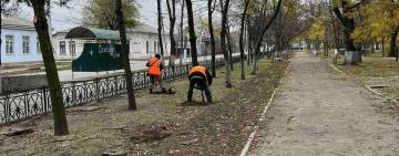 В Кілії комунальники висадили вже більше шістдесяти дерев в центральному парку