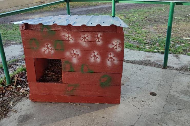 В Кілії небайдужі жителі, опікуючись бездомними тваринками, створюють їм теплі будиночки