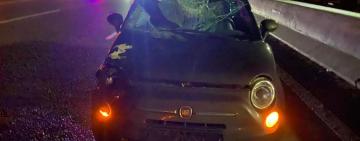 На трасі Одеса-Київ у ДТП загинув мешканець Білгород-Дністровського району