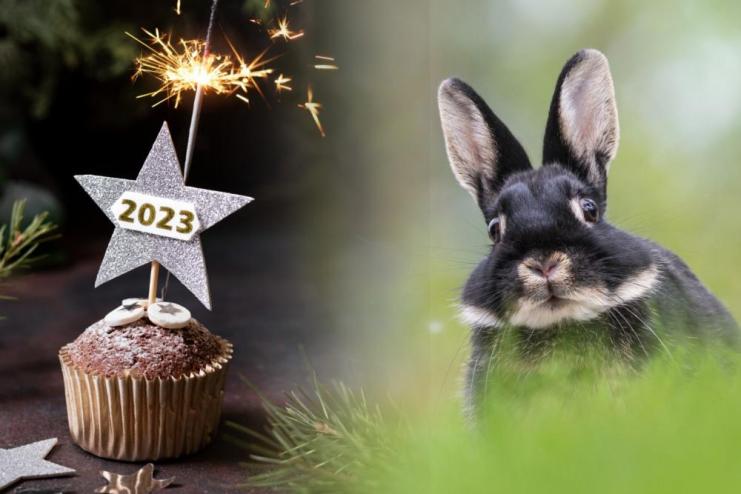 Китайський гороскоп на 2023 рік: яким буде рік Кролика для вас