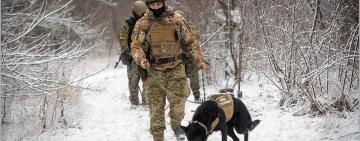Службовий собака прикордонників Одещини під час навчань знайшов артснаряди часів Другої світової 