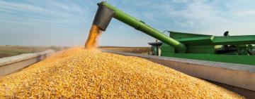 Попри війну Україна залишилась у ТОП-5 світових агроекспортерів