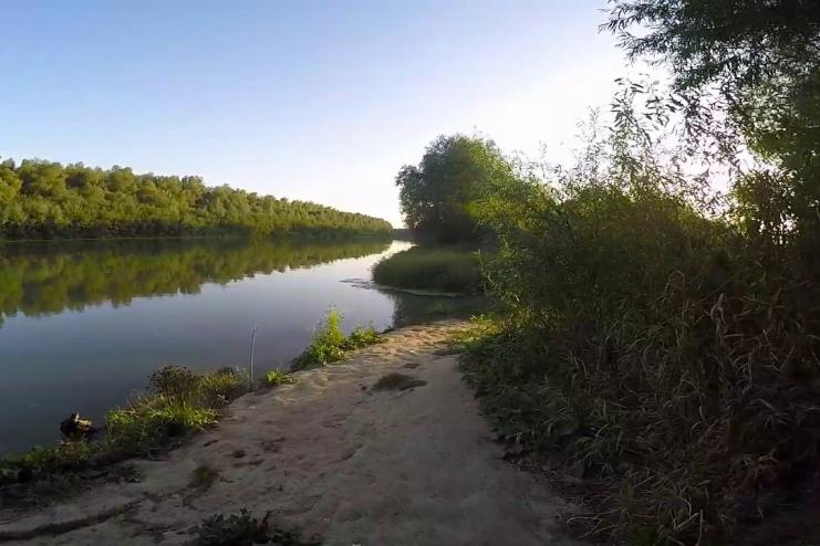 Одещина може отримати фінансування Євросоюзу для порятунку Дунаю
