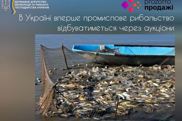 В Україні вперше промислове рибальство відбуватиметься через аукціони
