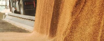 Небезпечна знахідка: на Одещині під час розвантаження зерна походженням з Херсонської області був виявлений снаряд