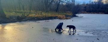 Рятуючи собаку, одесит провалився під кригу: історія порятунку від ДСНС