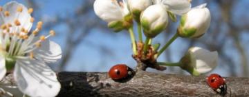 Хай буде весна: народний синоптик розповів, коли українцям чекати потеплішання