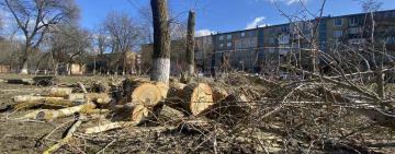 А замість дерев в Арцизі будуть штурпаки…