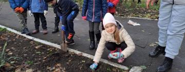 У Бородінській громаді стартувала акція з висадки дерев  "Дорога додому"