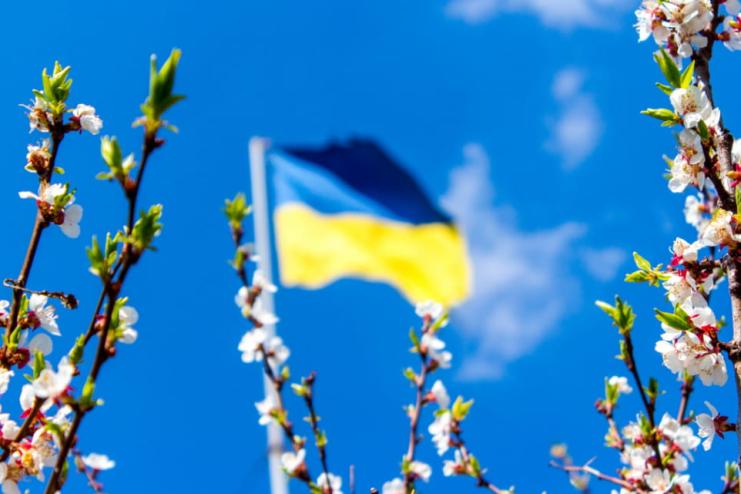 Весна прийшла, Україна не замерзла: як Суровікін та Кирієнко витратили мільйони доларів, щоб посилити українську ППО