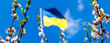 Весна прийшла, Україна не замерзла: як Суровікін та Кирієнко витратили мільйони доларів, щоб посилити українську ППО