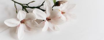 Календар на березень 2023: важливі свята та вихідні в першому місяці весни