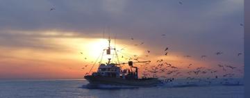 На Одещині відкрито навігацію для суден флоту рибної промисловості (документ)