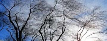 Штормове: завтра на Одещині очікується погіршення погодних умов