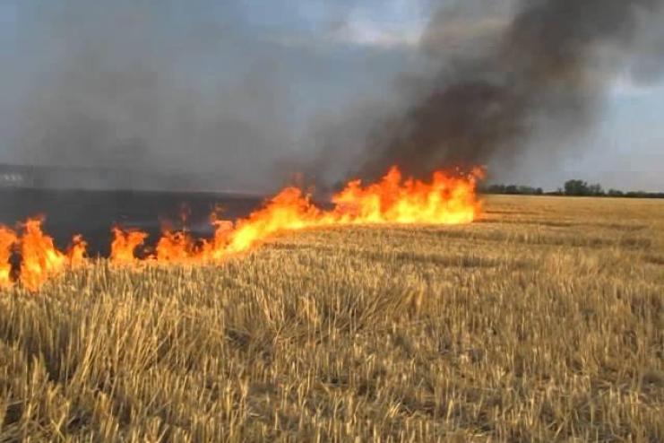 На Одещині через недопалок, викинутий пенсіонером, ледь не згоріли вагони