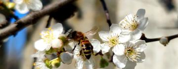 Майже літня спека: народний синоптик прогнозує до + 24° в Україні