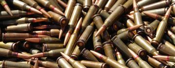 Мешканець Одещини зберігав у гаражі понад вісім тисяч патронів