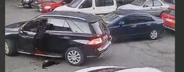 Наїхав на собаку та просто поїхав: в Одесі поліція відкрила справу 