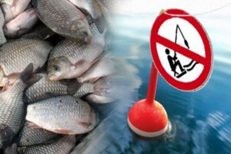 Увага! На Одещині тимчасово заборонено вилов риби на окремих ділянках водойм (список)