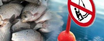  Увага! На Одещині тимчасово заборонено вилов риби на окремих ділянках водойм (список)