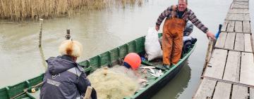 Українці зможуть поласувати найулюбленішим Дунайським делікатесом: рибалкам з Вилкове дозволили вийти на воду
