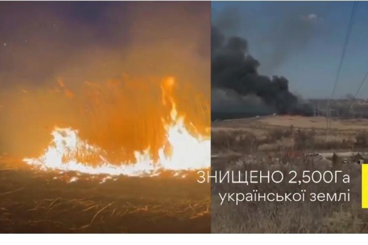 Понад 200 пожеж за 2,5 місяці: Одещина потерпає від пожеж сухої рослинності