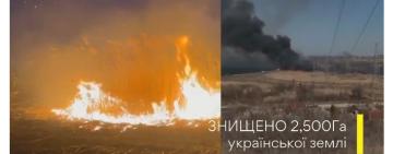 Понад 200 пожеж за 2,5 місяці: Одещина потерпає від пожеж сухої рослинності