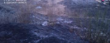 Чергового палія Одещини покарано! 