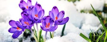 Холод, зливи та навіть снігопади: в Україну йде серйозна негода