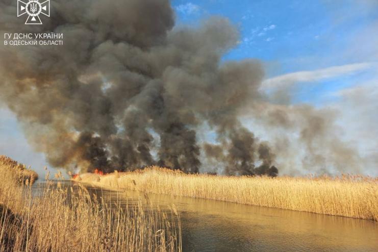 Минулої доби на Одещині рятувальники 15 разів гасили займання сухої трави