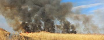 Минулої доби на Одещині рятувальники 15 разів гасили займання сухої трави