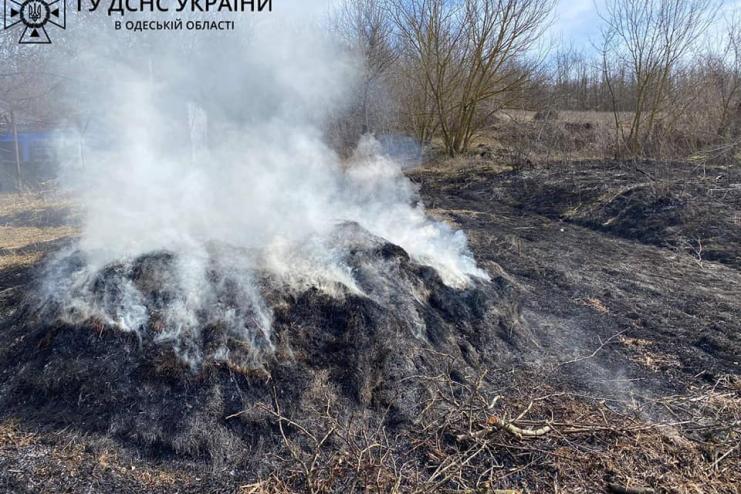 Мешканка Одещини так прибирала, що спалила 80 м² української землі