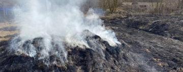 Мешканка Одещини так прибирала, що спалила 80 м² української землі