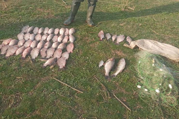 Понад 80 тисяч збитків: у Ренійській громаді ловив рибу сітками