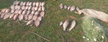 Понад 80 тисяч збитків: у Ренійській громаді ловив рибу сітками