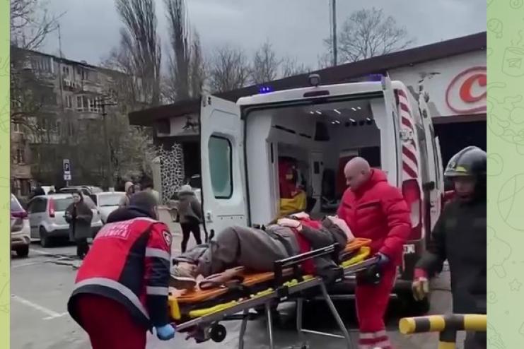 В Одесі на жінку впало дерево: медики розповіли про її стан