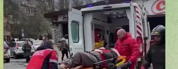 В Одесі на жінку впало дерево: медики розповіли про її стан