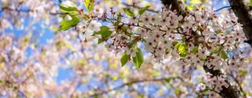 Народний синоптик розповів, коли українцям чекати сталого потепління