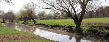 На Болградщині намагаються притягнути до відповідальності підприємство, яке забруднювало фекаліями річку і озеро