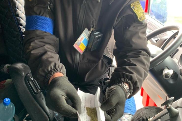  Пес Рембо допоміг прикордонникам виявити наркотики в пункті пропуску «Рені»