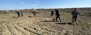 На півдні Одеської області з’явиться «сад кисню»