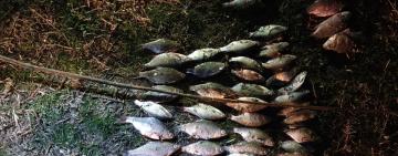 Мешканця Болградщини відправили на лаву підсудних за браконьєрство