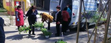 У Тарутине центральний проспект прикрасили квітами