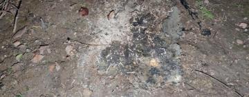 На Одещині селяни намагались спалити будинок недруга