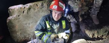 Рятувальники Одещини врятували чотирьох цуценят